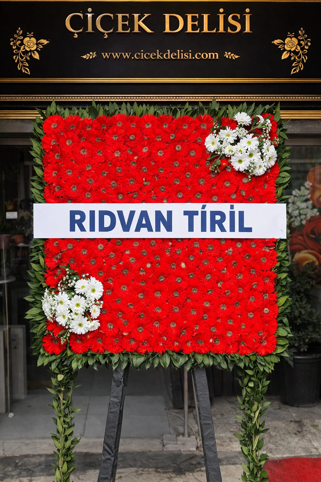 Pano �elenk 2 (Kal�c�)