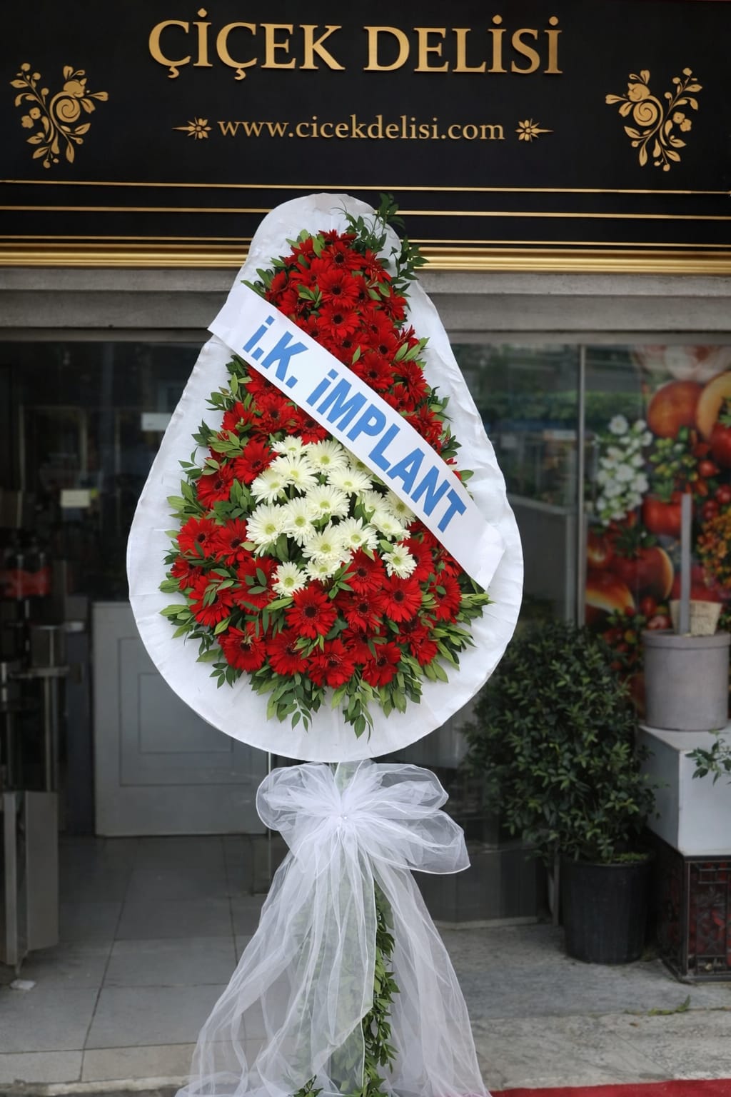 Beyaz G�bekli �elenk