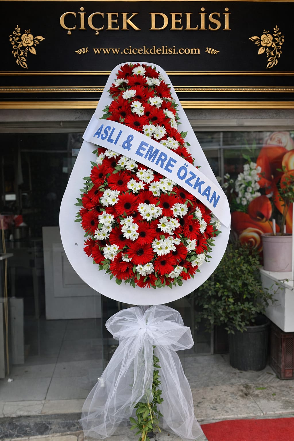 Tekli Papatyal� Kar���k �elenk